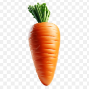 Hotcarrot