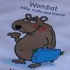 Mr Wombat